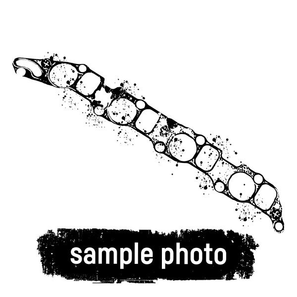 828.817, Auspuffkrümmerdichtung, ELRING, 12272783, 12272783ED0119-41, 12272783ED011941